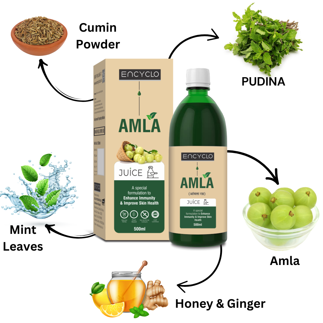 Encyclo Amla Juice 500ml