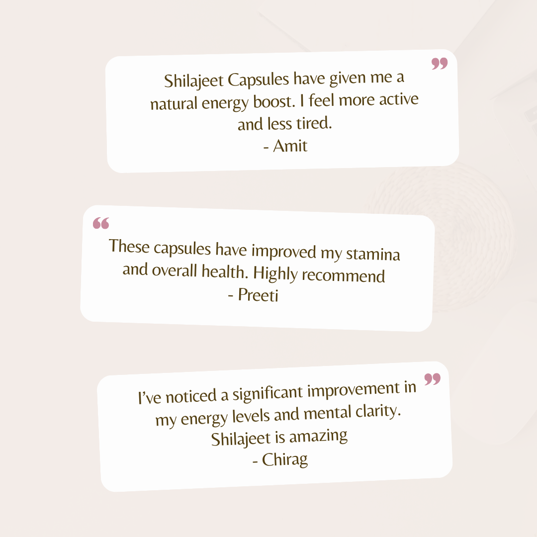 Encyclo Shilajit Capsules